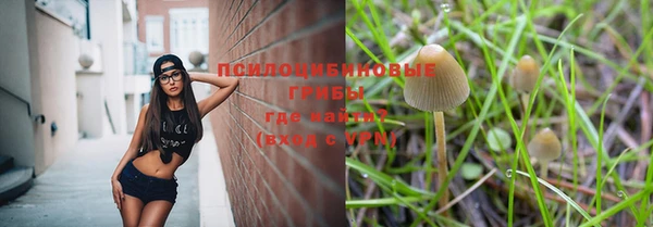 гашишное масло Богданович