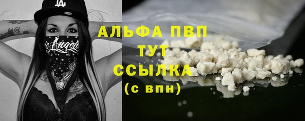 молекула духа Богородск