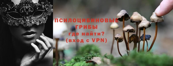 бутират Богородицк