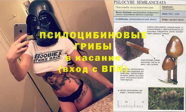 бутират Богородицк