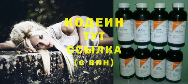молекула духа Богородск