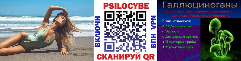 мориарти формула  Великий Новгород  Псилоцибиновые грибы Psilocybine cubensis 